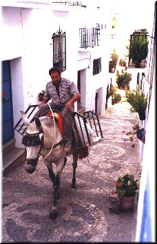 Here's the stepped shortcut from the top (I think). The mule is probably taking supplies to a bar further up the hill.