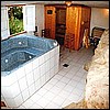 Basement sauna/laundry room. The jacuzzi didn't work, but the sauna did. That's a chunk of native rock in the foreground.